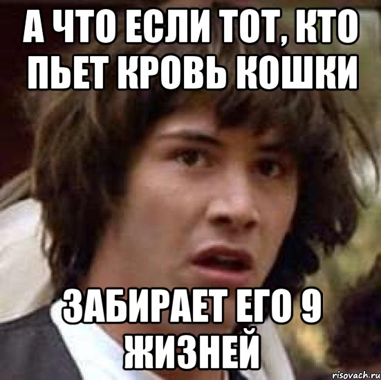 А ЧТО ЕСЛИ ТОТ, КТО ПЬЕТ КРОВЬ КОШКИ ЗАБИРАЕТ ЕГО 9 ЖИЗНЕЙ, Мем А что если (Киану Ривз)