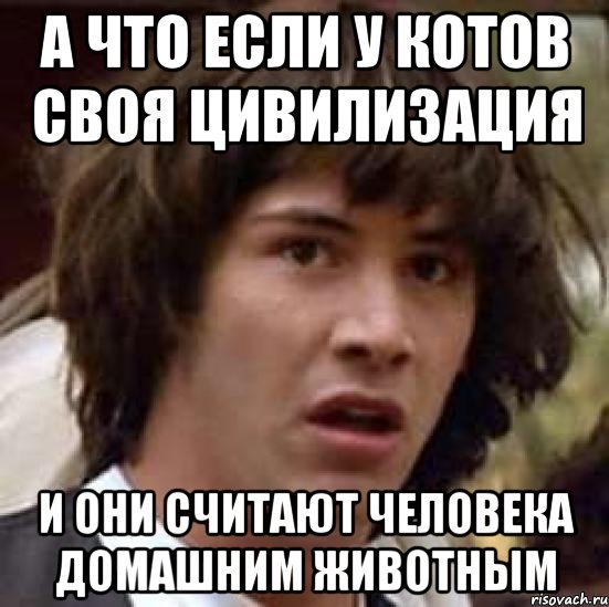 а что если у котов своя цивилизация и они считают человека домашним животным, Мем А что если (Киану Ривз)