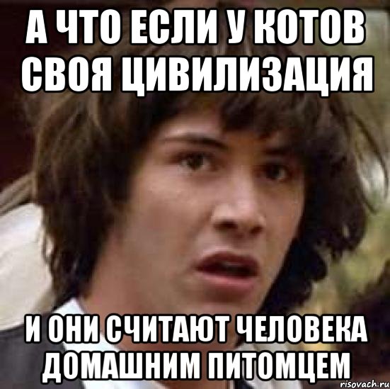 а что если у котов своя цивилизация и они считают человека домашним питомцем, Мем А что если (Киану Ривз)