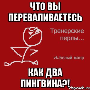 Что вы переваливаетесь как два пингвина?!
