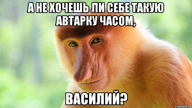 А не хочешь ли себе такую автарку часом, Василий?, Мем А не пиздишь ли ты часом