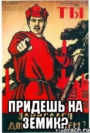  придешь на земик?