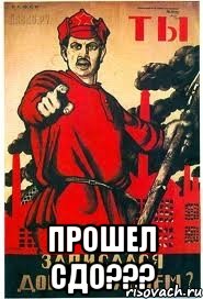  прошел СДО???