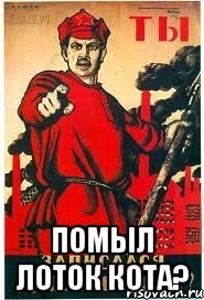  ПОМЫЛ ЛОТОК КОТА?