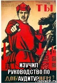  изучил Руководство по аудиту?