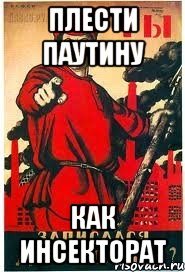 Плести паутину как инсекторат