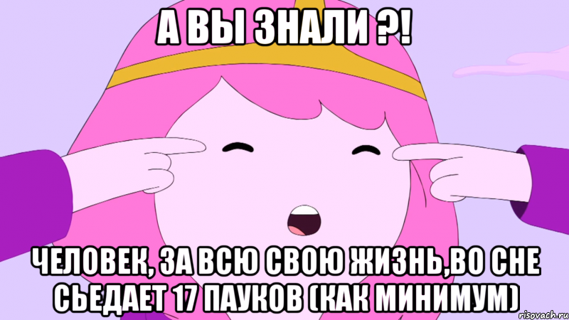 А вы знали ?! человек, за всю свою жизнь,во сне сьедает 17 пауков (как минимум)
