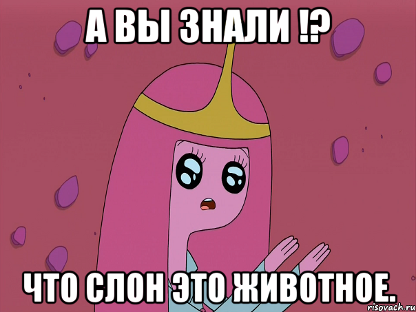 А вы знали !? что слон это животное.