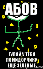 Абов Гуляй,у тебя помидорчики еще зеленые