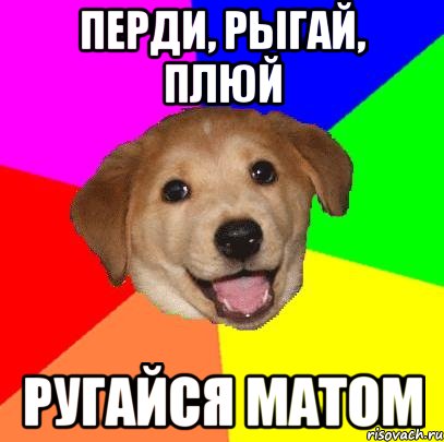 перди, рыгай, плюй ругайся матом, Мем Advice Dog