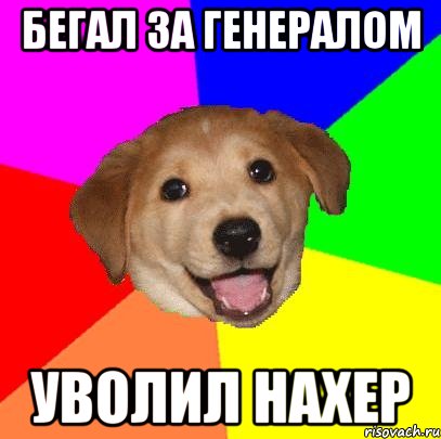 Бегал за генералом Уволил нахер, Мем Advice Dog