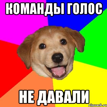 Команды голос не давали, Мем Advice Dog