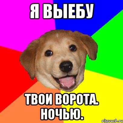 я выебу твои ворота. ночью., Мем Advice Dog