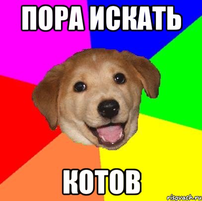 пора искать КОТОВ, Мем Advice Dog