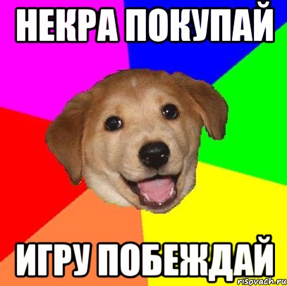 Некра покупай Игру побеждай, Мем Advice Dog