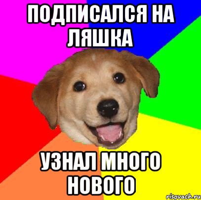 подписался на Ляшка узнал много нового, Мем Advice Dog