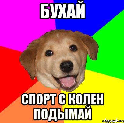 Бухай Спорт с колен подымай, Мем Advice Dog