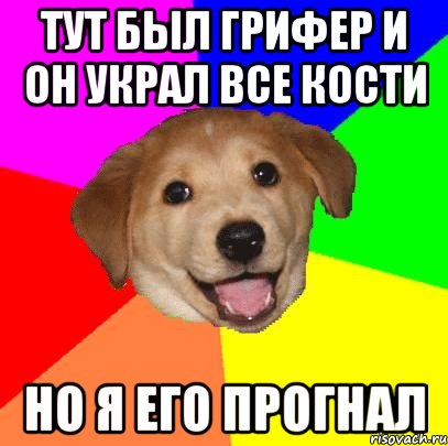 тут был грифер и он украл все кости но я его прогнал, Мем Advice Dog