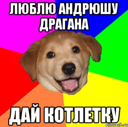 Люблю Андрюшу Драгана Дай котлетку, Мем Advice Dog