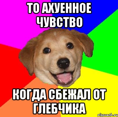 То ахуенное чувство Когда сбежал от Глебчика, Мем Advice Dog