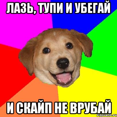 Лазь, тупи и убегай И скайп не врубай, Мем Advice Dog