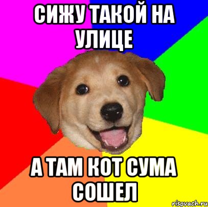 Сижу такой на улице А там кот сума сошел, Мем Advice Dog