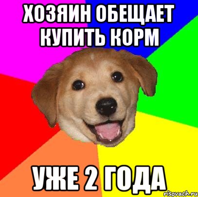 хозяин обещает купить корм Уже 2 года, Мем Advice Dog