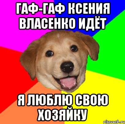 Гаф-гаф Ксения Власенко идёт Я люблю свою хозяйку, Мем Advice Dog