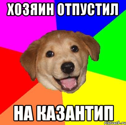 ХОЗЯИН ОТПУСТИЛ НА КАЗАНТИП, Мем Advice Dog