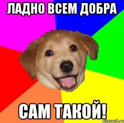 Ладно всем добра сам такой!, Мем Advice Dog