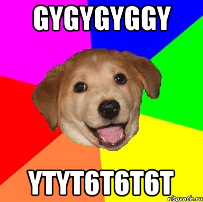 gygygyggy ytyt6t6t6t, Мем Advice Dog