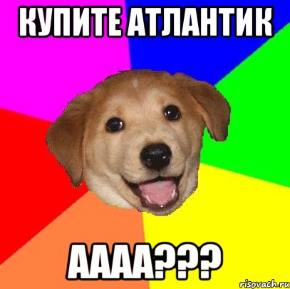 Купите Атлантик АААА???, Мем Advice Dog