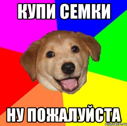 КУПИ СЕМКИ НУ ПОЖАЛУЙСТА, Мем Advice Dog