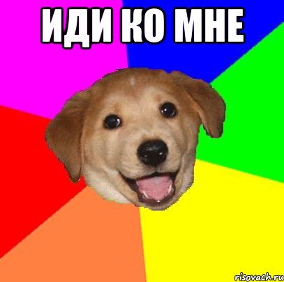 иди ко мне , Мем Advice Dog