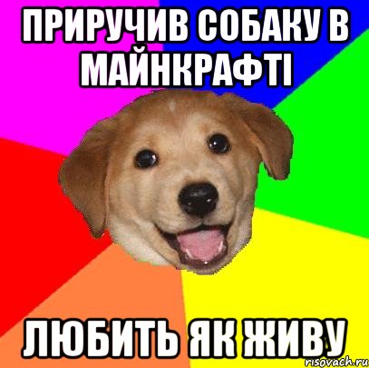 Приручив собаку в майнкрафті любить як живу, Мем Advice Dog