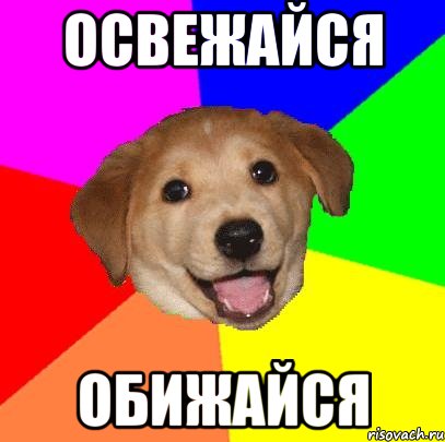 Освежайся Обижайся, Мем Advice Dog