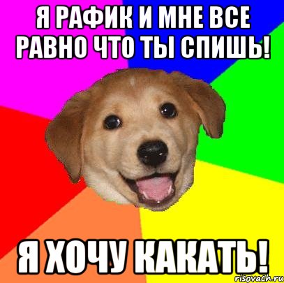 Я Рафик и мне все равно что ты спишь! Я хочу какать!, Мем Advice Dog