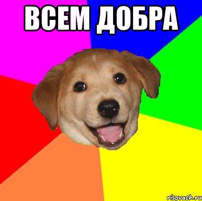 ВСЕМ ДОБРА , Мем Advice Dog