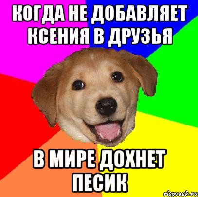 Когда не добавляет Ксения в друзья в мире дохнет песик, Мем Advice Dog