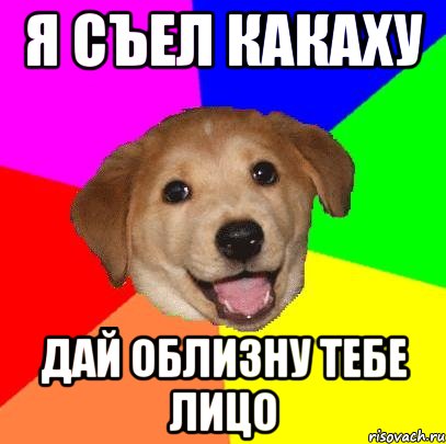 Я СЪЕЛ КАКАХУ ДАЙ ОБЛИЗНУ ТЕБЕ ЛИЦО, Мем Advice Dog