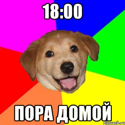 18:00 ПОРА ДОМОЙ, Мем Advice Dog