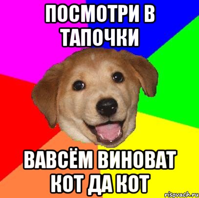 Посмотри в тапочки Вавсём виноват кот да кот, Мем Advice Dog