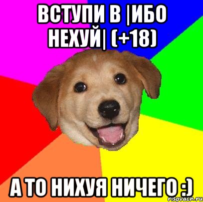 Вступи в |Ибо нехуй| (+18) А то Нихуя ничего :), Мем Advice Dog