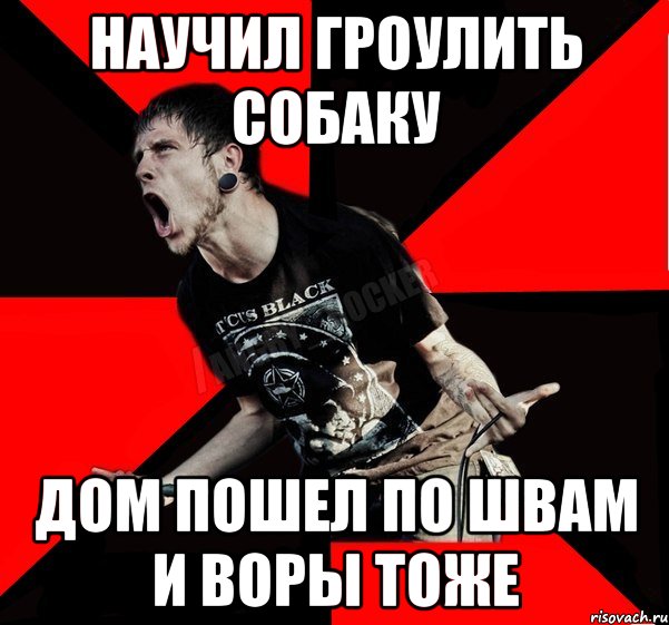 Научил гроулить собаку дом пошел по швам и воры тоже, Мем Агрессивный рокер