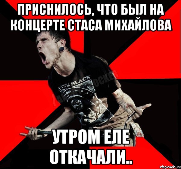 Приснилось, что был на концерте Стаса Михайлова Утром еле откачали.., Мем Агрессивный рокер