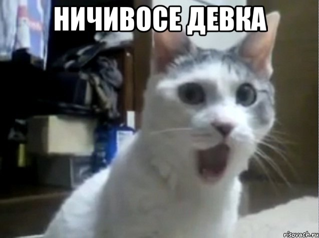Ничивосе девка , Мем Ах ты ж хитрая жопа