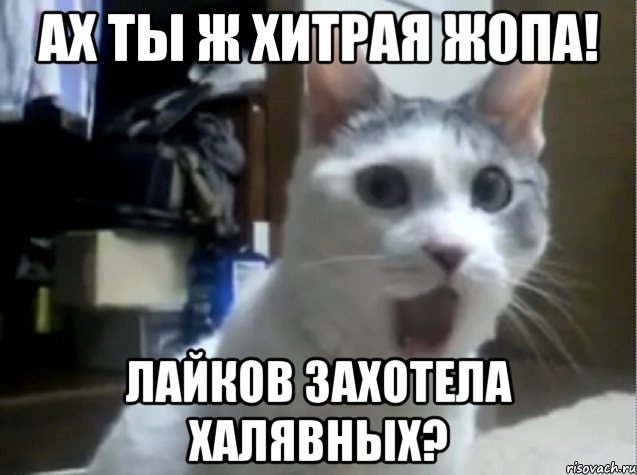 АХ ТЫ Ж ХИТРАЯ ЖОПА! ЛАЙКОВ ЗАХОТЕЛА ХАЛЯВНЫХ?