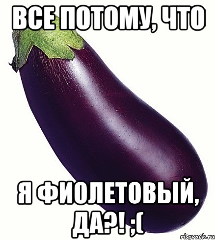 baklazhan_57250950_orig_.jpeg