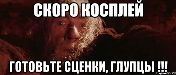 Скоро косплей Готовьте сценки, глупцы !!!, Мем бегите глупцы