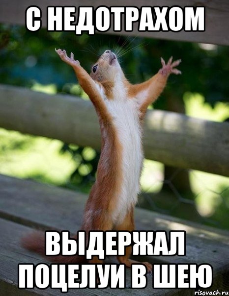 с недотрахом выдержал поцелуи в шею, Мем    белка молится